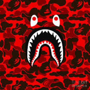 Meet your Posher, Aditya